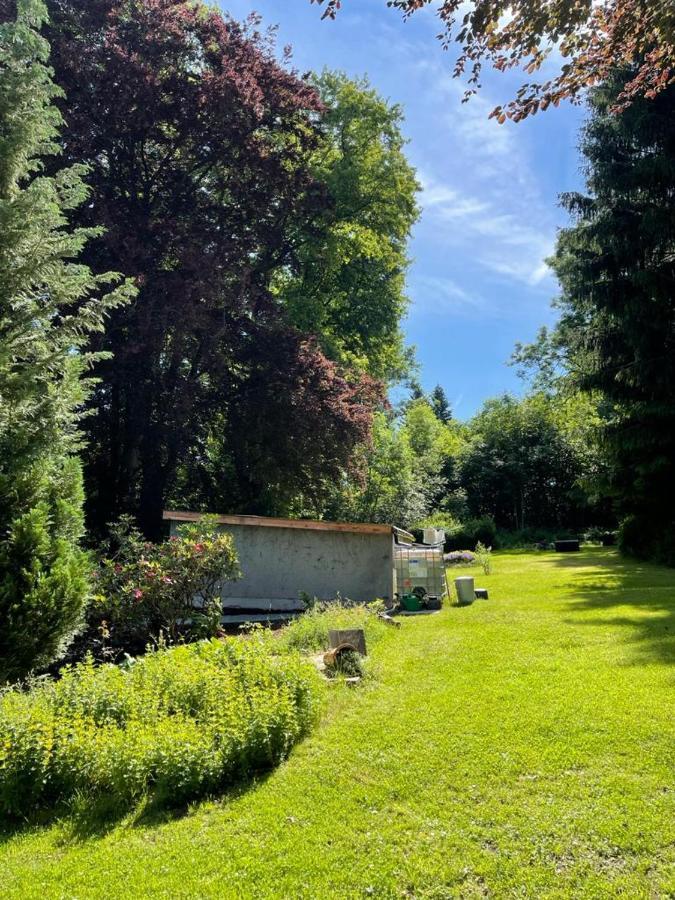 Vogtlandperle Διαμέρισμα Oelsnitz  Εξωτερικό φωτογραφία