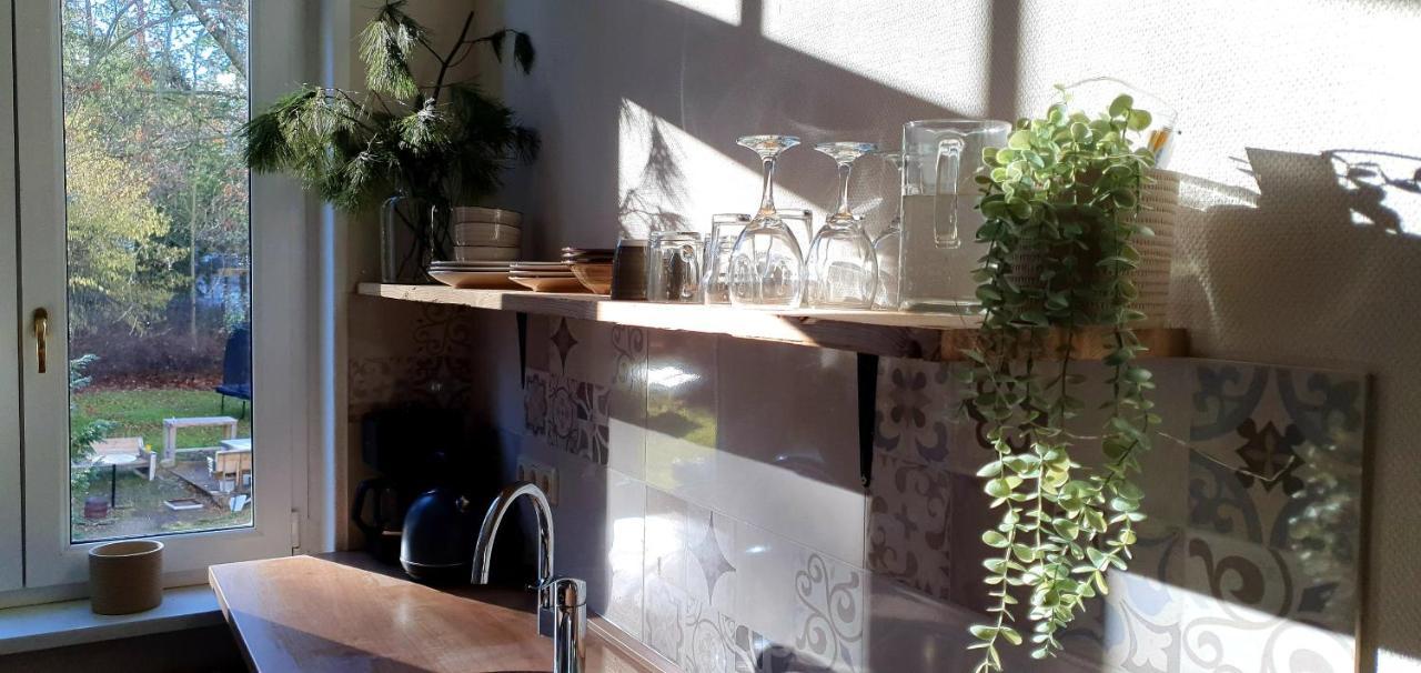 Vogtlandperle Διαμέρισμα Oelsnitz  Εξωτερικό φωτογραφία
