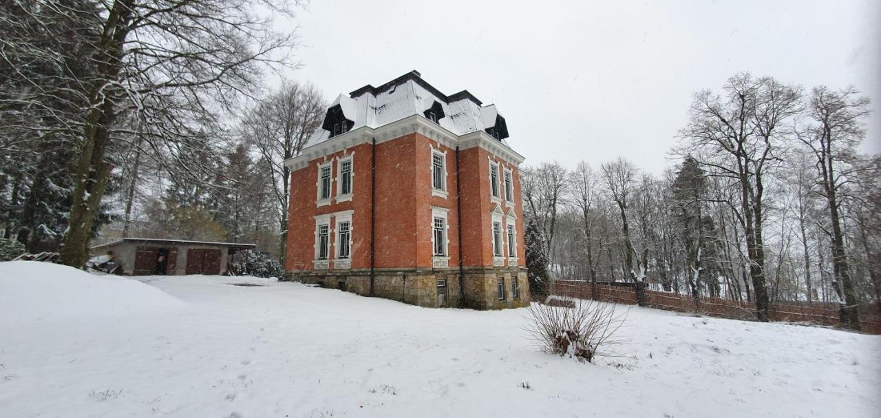 Vogtlandperle Διαμέρισμα Oelsnitz  Εξωτερικό φωτογραφία